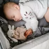 BABYONO Kismadár és takaró 2 az 1-ben Baby Bunny 0m+