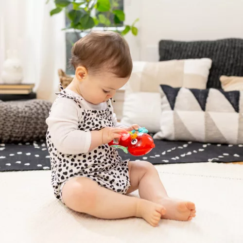 BABY EINSTEIN Musical Érzékszervi játék Roxy Bright Flight™ 3hó+
