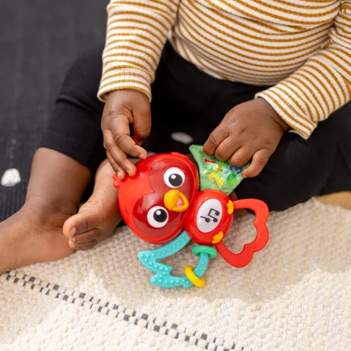 BABY EINSTEIN Musical Érzékszervi játék Roxy Bright Flight™ 3hó+