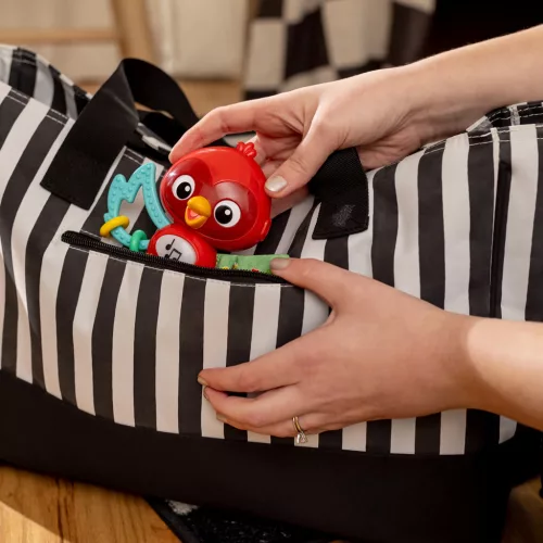 BABY EINSTEIN Musical Érzékszervi játék Roxy Bright Flight™ 3hó+