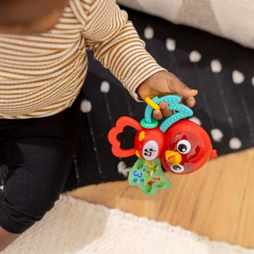 BABY EINSTEIN Musical Érzékszervi játék Roxy Bright Flight™ 3hó+