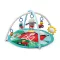 BABY EINSTEIN Játszótakaró motoros és szenzoros fejlődéshezHappy Harvest™ , 0 hónapos kortól