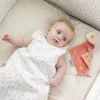 NATTOU Muchláček plyšový mini sündisznó Zoe 28 cm Mila, Zoe & Lana