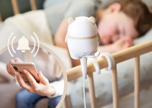 NENO Babafigyelő kamera IP-WiFi Ami