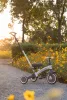 QPLAY Trojkolka Stager 3v1 Platinum, 2-6 rokov