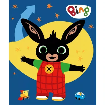 Bing takaró 100*140