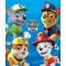 Paw Patrol takaró 100*140