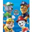 Paw Patrol takaró 100*140