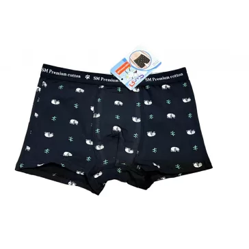 Fiú boxer 10-12év