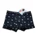 Fiú boxer 10-12év
