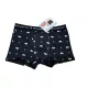 Fiú boxer 10-12év