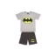 Batman szett 134-es