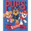 Paw Patrol takaró 130*170 cm 