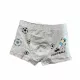Fiú boxer 12/13 éves