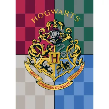 Harry Potter takaró 100*140