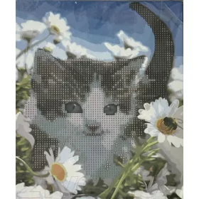 Gyémántszemes kirakó 25*21cm