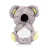 Chipolino Koala zenélő plüss játék - green & grey