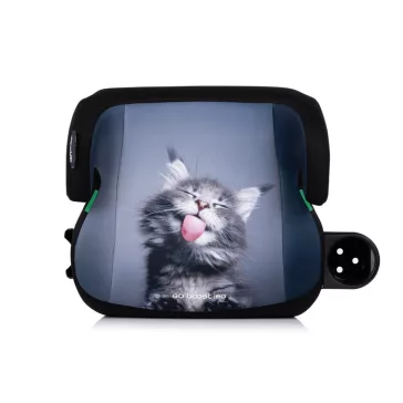   Chipolino Go Boost Iso autós ülésmagasító 125-150 cm - cat