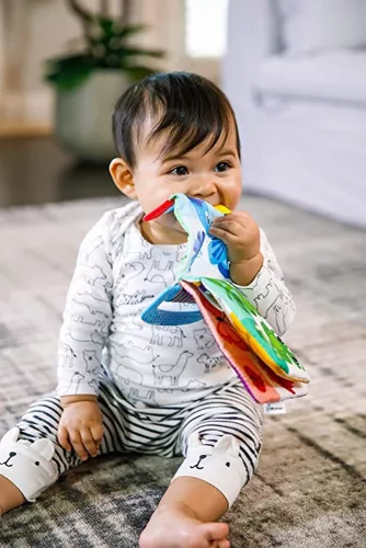 Baby Einstein Rágóka/könyv Curious Explorers ™, 0 hó+