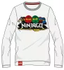 Lego Ninjago Team gyerek hosszú ujjú póló, felső 5 év / 110 cm