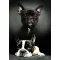 Kutyás Bulldog polár takaró 100x140cm