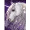 Unikornis Purple polár takaró 100x140cm
