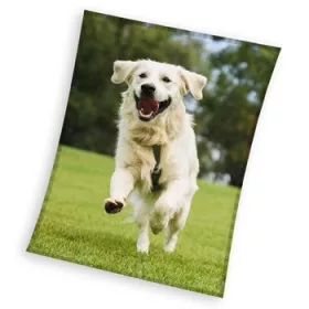   Kutyás Happytail Retriever coral fleece polár takaró 150x200cm