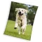 Kutyás Happytail Retriever coral fleece polár takaró 150x200cm