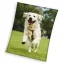 Kutyás Happytail Retriever coral fleece polár takaró 150x200cm