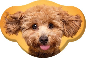 Kutyás Toy Poodle formapárna, díszpárna  28x40 cm Velúr