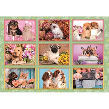 Állatos Puppies Collage 180 db-os puzzle Clementoni
