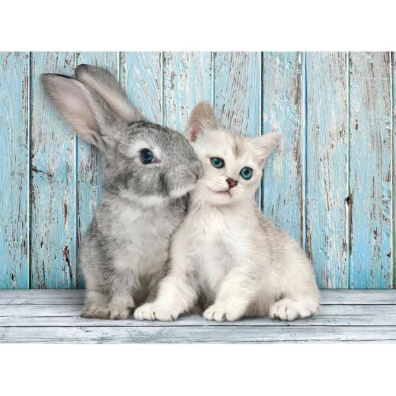 Állatos Cat & Bunny 500 db-os puzzle Compact Clementoni