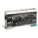 Elefánt Herd of Giants 1000 db-os panoráma Compact puzzle Clementoni