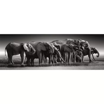   Elefánt Herd of Giants 1000 db-os panoráma Compact puzzle Clementoni