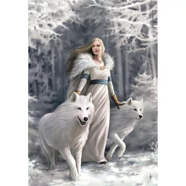   Anne Stokes Winter Guardians 1000 db-os Compact puzzle Clementoni