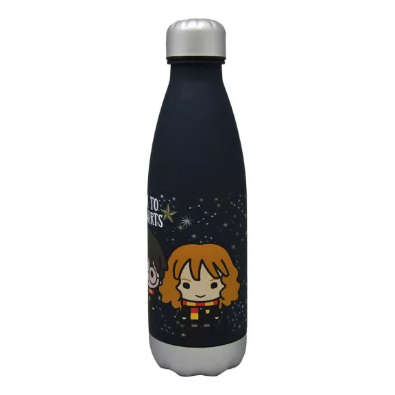 Harry Potter Hogwarts műanyag kulacs csavaros kupakkal 650 ml