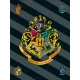 Harry Potter Crest  polár takaró 100x150cm