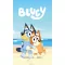 Bluey Cozy kéztörlő, arctörlő, törölköző 30x50cm