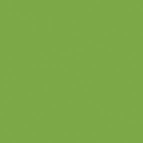 Lime zöld Maki szalvéta 20 db-os 33x33 cm