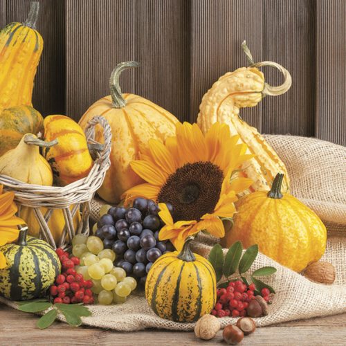 Ősz Fruits szalvéta 20 db-os 33x33 cm
