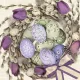 Húsvét Violet Tulips Wreath szalvéta 20 db-os 33x33 cm