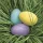 Húsvét Pastel Eggs in Grass szalvéta 20 db-os 33x33 cm