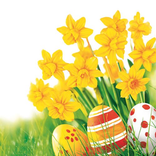 Húsvét Bunch of Daffodils szalvéta 20 db-os 33x33 cm