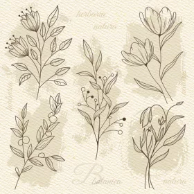 Virág Beige Illustration szalvéta 20 db-os 33x33 cm