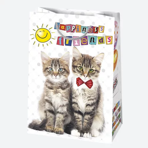 Happy Birthday Friends papír ajándéktasak, ajándékzacskó 23x32x11 cm
