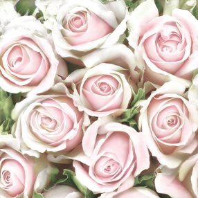 Rózsa Subtle Light Pink szalvéta 20 db-os 33x33 cm