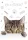 Cicás Meow A/4 gumis mappa