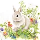 Húsvét Little Bunny szalvéta 20 db-os 33x33 cm