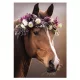 Lovas Wreath A/4 gumis mappa