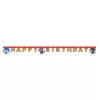 Sonic a sündisznó Sega Happy Birthday felirat FSC 2 m